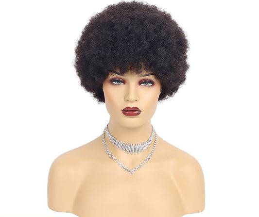 Short Wigs Human Hair Afro Kinky Curly